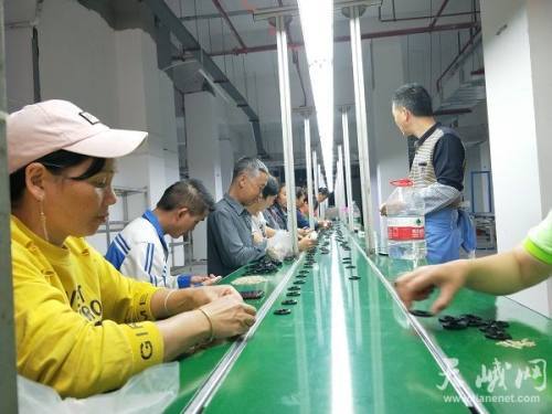 長安家園喜迎電子廠入駐，產業興農助力鄉村振興，點亮日用家電零售新篇章